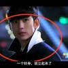苹果49图库绿色版使用方法